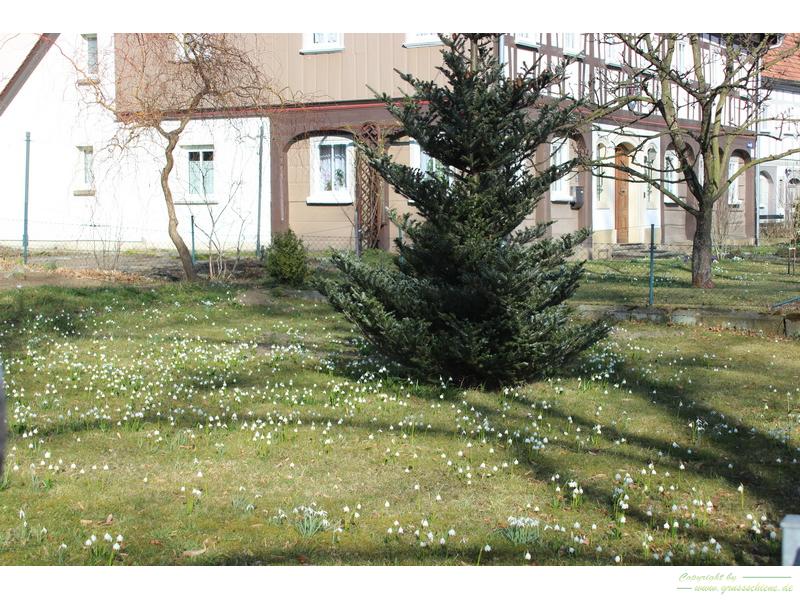 Im März in Großschönau - der Winter sagt Adieu