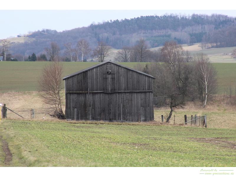 Januar 2014 - ein Winter ohne Schnee im Dorf...