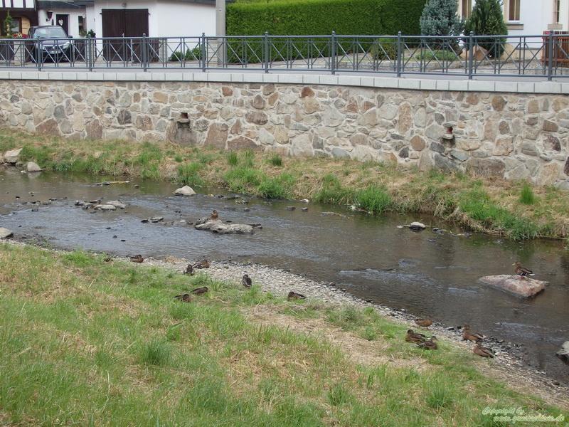 Niedrigwasser an Mandau und Lausur im August 2015